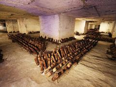 149 MUSEE DU CHAMPIGNON A  SAUMUR 2016 1_000034